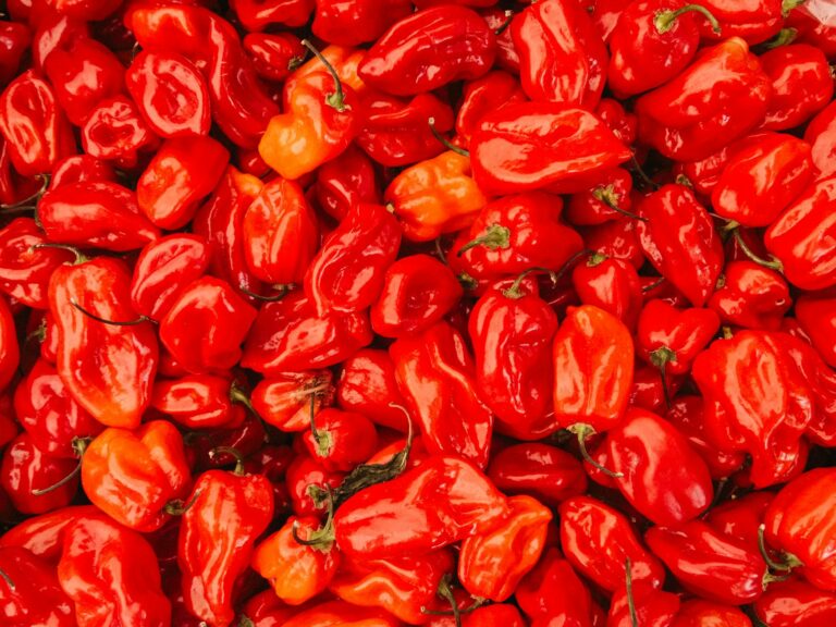 Aštri čili sriuba: Scoville skalėje