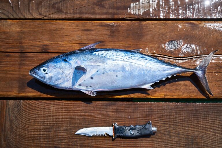 Žuvies salotos: omega-3 išsaugojimas šaltose patiekaluose