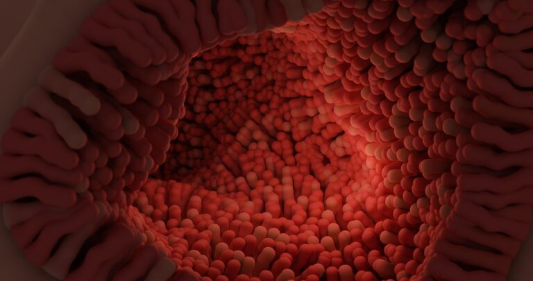 Kolagenas: peptido molekulės dydžio svarba absorbcijai