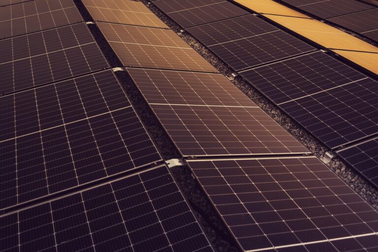 Mitochondrijų sveikata: energijos gamybos optimizavimas