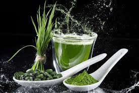 Spirulina milteliai: baltymų kiekio koncentracija