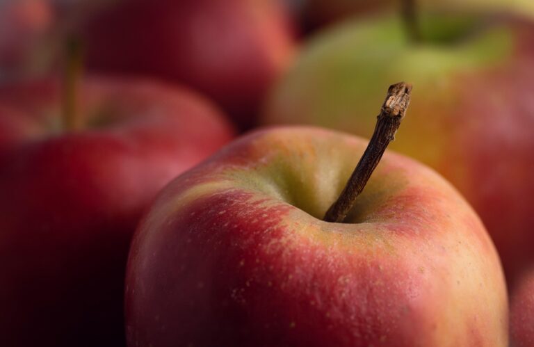 Veganiška mityba: vitamino B12 papildymo būtinybė